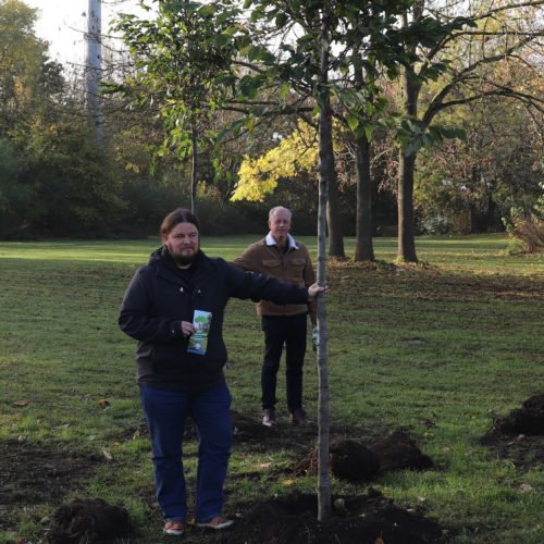 Baumpatenschaften im Freibad Arnum: Neue Bäume sind gepflanzt